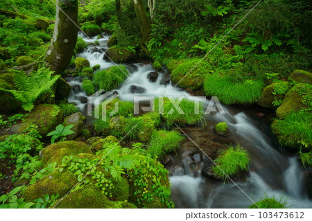 beautiful water stream beautiful water stream 103473612