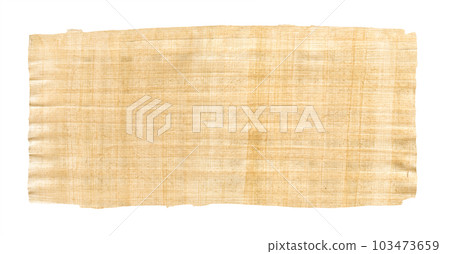 Old papyrus texture isolated on white background. Banner wallpaper 103473659