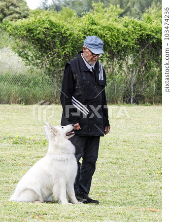 White Swiss Shepherd Dog and owner White Swiss Shepherd Dog and owner 103474236