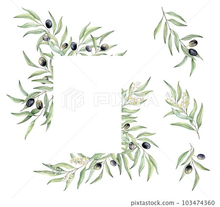 Set of green leaf branches. Restrangle frame with place for text. Olive berries, greenery foliage, Botanical design element. Hand drawn watercolor illustration for cosmetic branding, greeting card, 103474360