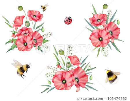 Set of red wild poppies, poppy buds, green leaves, bee and ladybug. Floral bouquets. Hand draw watercolor illustration for wedding, anniversary, birthday, package, greetings 103474362