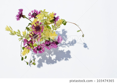 Small arrangement of purple cornflowers Small arrangement of purple cornflowers 103474365