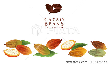 Watercolor illustration of cocoa beans / horizontal layout 103474544
