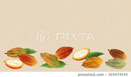 Watercolor illustration of cocoa beans / horizontal layout 103474545