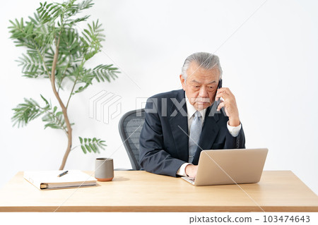 Business senior male smartphone call 103474643