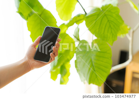 Hand photo of operating a houseplant and a mobile phone 103474977