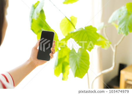 操作盆栽和手機的手部照片 103474979