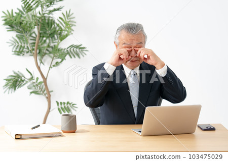 Business senior man eyestrain 103475029