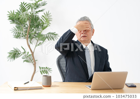 Business senior man eyestrain 103475033