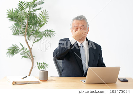 Business senior man eyestrain 103475034