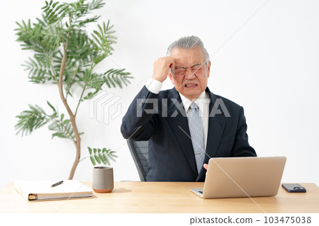 Business senior man eyestrain 103475038