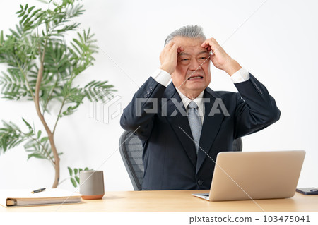 Business senior man eyestrain 103475041