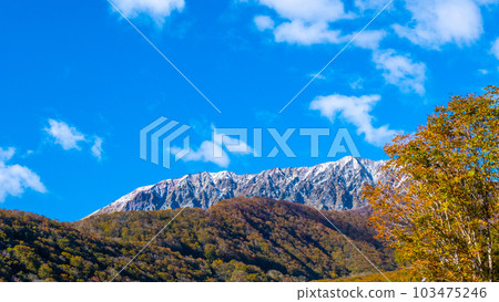 Autumn leaves and the first snow of Okudaisen (around Kagikake Pass) 103475246