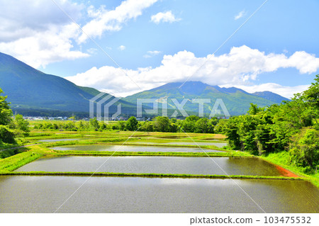 從長野縣信濃町古磨眺望妙高山（長野縣信濃町）[2023年5月] 103475532