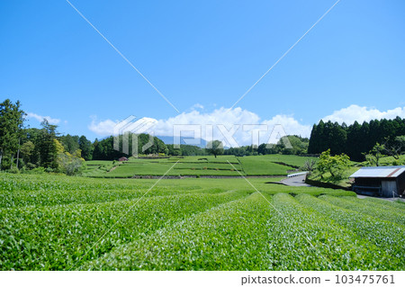 Obuchi Sasaba House and Mount Fuji 103475761
