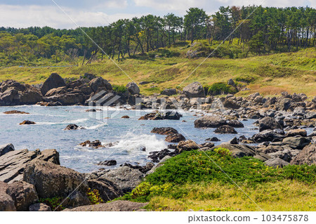 青森縣八戶市種差海水浴場中須賀 青森縣八戶市種差海水浴場中須賀 103475878