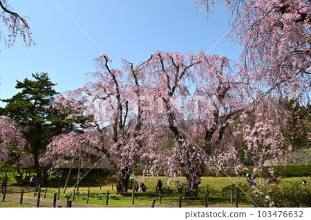 盛岡櫻花米內淨水廠 103476632