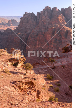 The Siq red rocks, canyon of Petra, Jordan 103477534