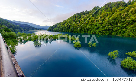 秋田縣秋田縣春日清晨的絕佳景色秋田湖水下森林 103477718