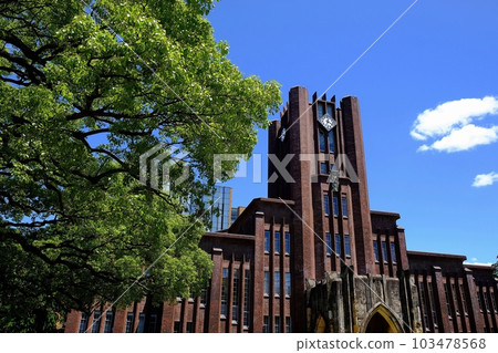 University of Tokyo Auditorium and Giant Kusunoki University of Tokyo Auditorium and Giant Kusunoki 103478568