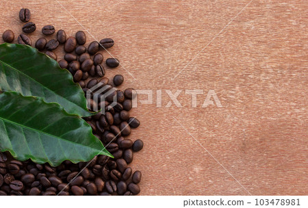 Close up coffee beans and fresh green leaf 103478981