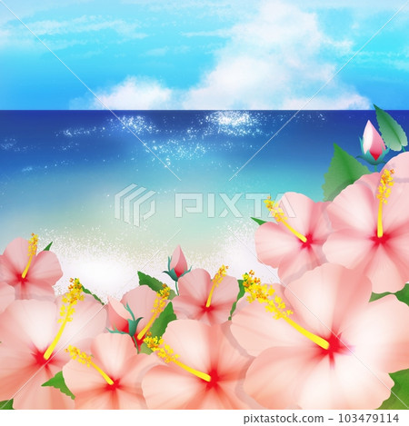 Blue sea and pink hibiscus Blue sea and pink hibiscus 103479114
