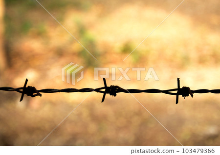 Barbed wire close up with sunshine. Shallow DOF. 103479366