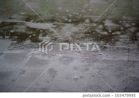 墊在雨中 103479995