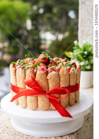 Strawberry tiramisu cake with decorated savoiardi cookies. Strawberry tiramisu cake with decorated savoiardi cookies. 103480029