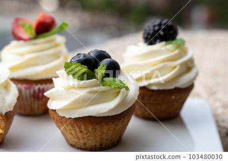 Cupcakes with different fruits on a white plate close-up. Cupcakes with different fruits on a white plate close-up. 103480030
