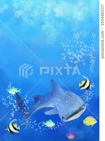 鯨鯊和熱帶魚在海中游泳 103480317
