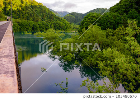 秋田縣秋田縣春日清晨的絕佳景色秋田湖水下森林 103480670