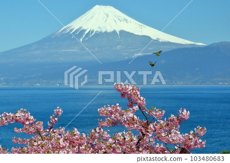 靜岡縣沼津市井田市 103480683