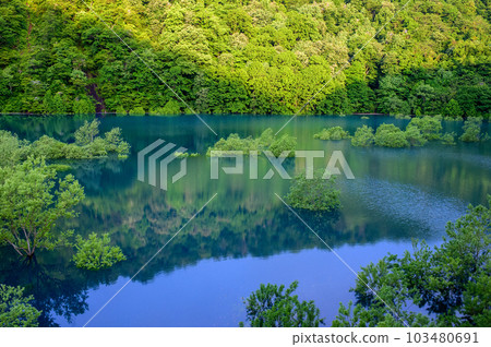 Lake Shusen shining in the morning sun and a submerged forest, Akita Prefecture 103480691