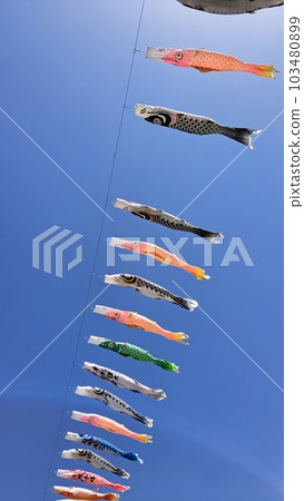 天空和鯉魚飄帶 103480899