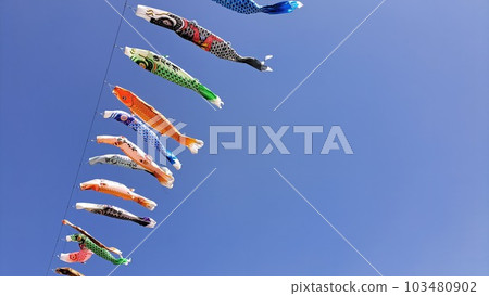 Sky and carp streamers 103480902