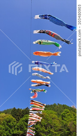 Sky and carp streamers 103480903