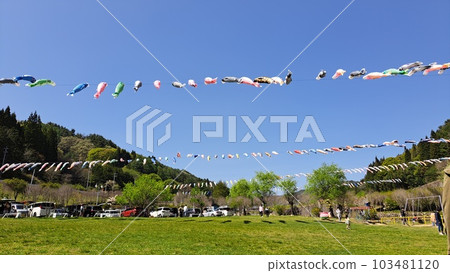 Sky and carp streamers Sky and carp streamers 103481120
