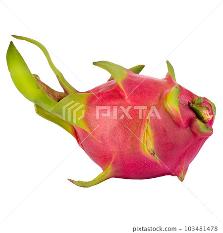 Dragonfruit or Pitaya isolated on a white background 103481478