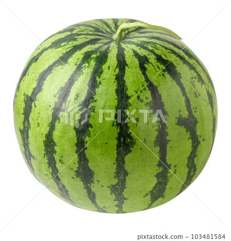 Ripe Watermelon fruit isolated on a white background Ripe Watermelon fruit isolated on a white background 103481584