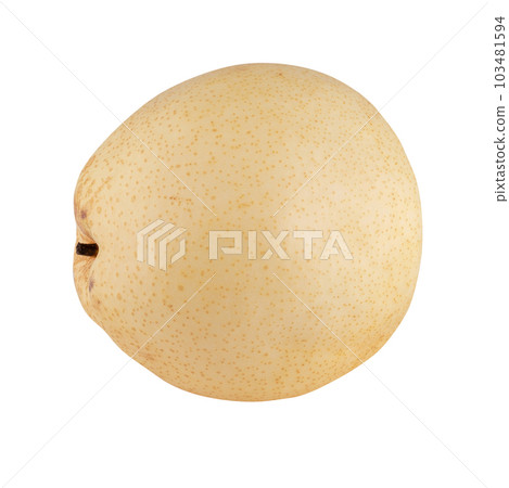 Fresh oriental pear isolated on a white background Fresh oriental pear isolated on a white background 103481594