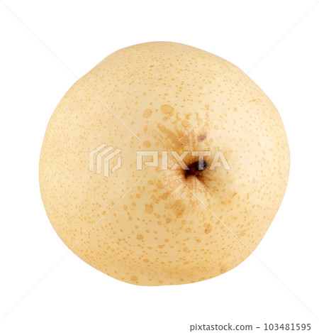 Fresh oriental pear isolated on a white background Fresh oriental pear isolated on a white background 103481595