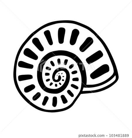 seashell, shell, vector 103481889