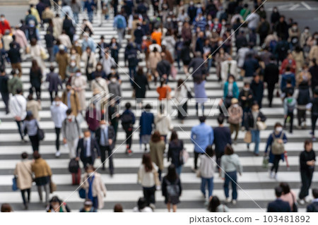 Pedestrian crossing crowd image Pedestrian crossing crowd image 103481892
