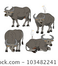 水牛 103482241