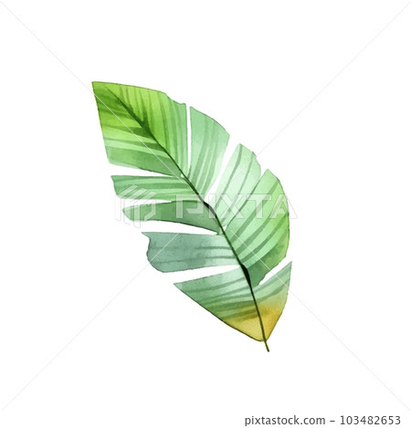 Modern exotic leave watercolor, great design for any purposes. Isolated vector element. Vector art illustration. Wedding floral decoration. Modern exotic leave watercolor, great design for any purposes. Isolated vector element. Vector art illustration. Wedding floral decoration. 103482653