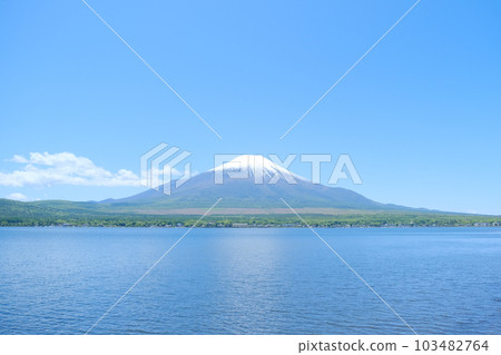 從山中湖看到的富士山 從山中湖看到的富士山 103482764