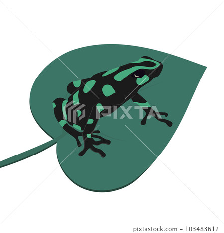 The green-and-black poison dart frog (Dendrobates auratus) sitting on a leaf vector illustration. Isolated on white. The green-and-black poison dart frog (Dendrobates auratus) sitting on a leaf vector illustration. Isolated on white. 103483612