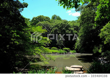 University of Tokyo Hongo Campus Sanshiro Pond (Ikutokuen Shinji Pond) University of Tokyo Hongo Campus Sanshiro Pond (Ikutokuen Shinji Pond) 103484108