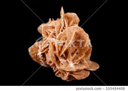 Macro mineral stone desert rose or sand rose on a black background Macro mineral stone desert rose or sand rose on a black background 103484406